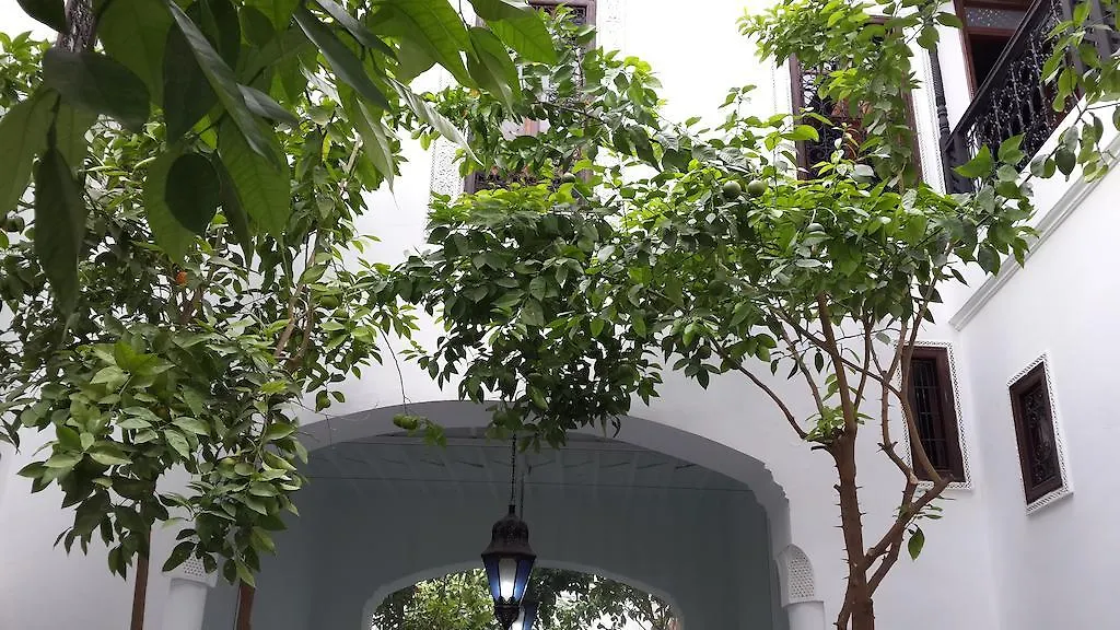 Dar Naima Hotel Marrakesh Riad