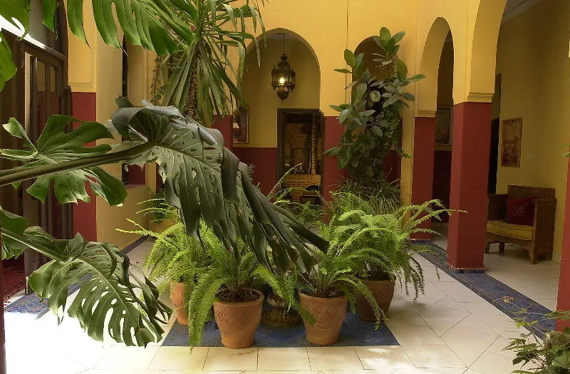 Riad Dar Naima Hotel Marrakesh